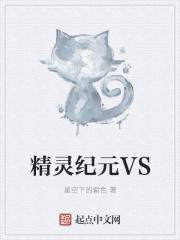 精灵纪元VS 精灵纪元VS