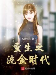 重生之流金时代 重生之流金时代