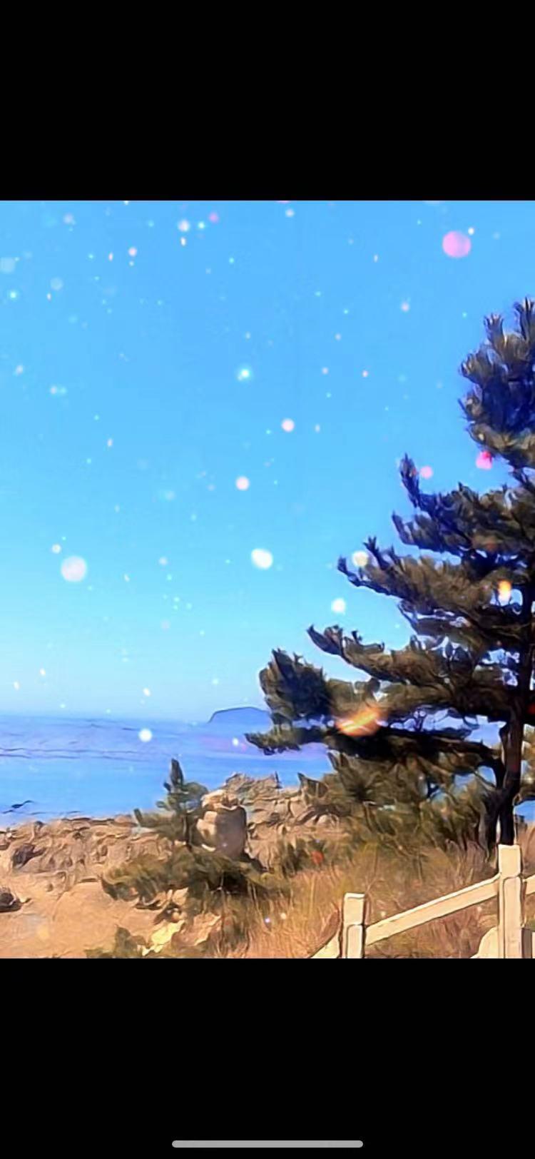 云水文昭 云水文昭