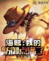 海贼:我的防御点满了 海贼:我的防御点满了