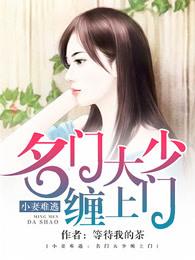 小妻难逃:名门大少缠上门 小妻难逃:名门大少缠上门