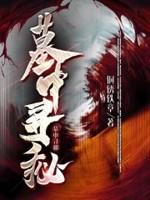 墓中寻秘 墓中寻秘