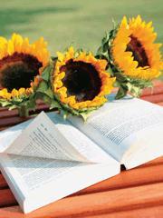 有龙过江 有龙过江