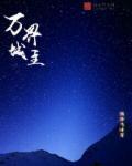 万界城主 万界城主