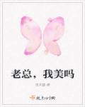 老总,我美吗 老总,我美吗