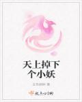 天上掉下个小妖 天上掉下个小妖