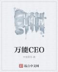 万能CEO 万能CEO