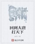 回到大唐打天下 回到大唐打天下