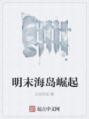 明末海岛崛起 明末海岛崛起