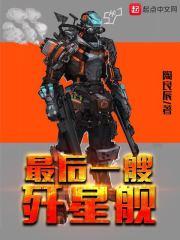 最后一艘歼星舰 最后一艘歼星舰