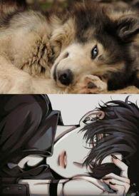 泡沫之夏全集解说