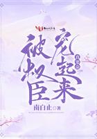 被权臣宠起来真要命 被权臣宠起来真要命