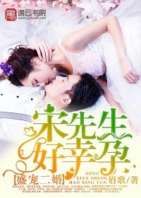 盛宠二婚,宋先生好幸孕 盛宠二婚,宋先生好幸孕
