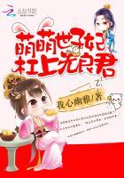 萌萌世子妃:杠上无良君 萌萌世子妃:杠上无良君