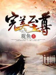 完美至尊 完美至尊