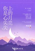 你是心尖尖上的月亮 你是心尖尖上的月亮
