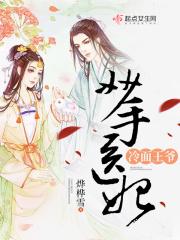 妙手医妃冷面王爷 妙手医妃冷面王爷
