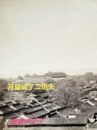 开局成了二姐夫 开局成了二姐夫