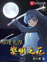 综漫无限黎明之花 综漫无限黎明之花