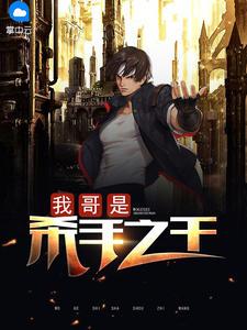 我哥是杀手之王 我哥是杀手之王